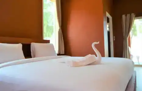 World Cat Resort - 85