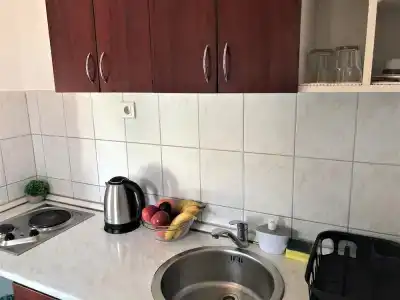 Villa Merci Budva - 117