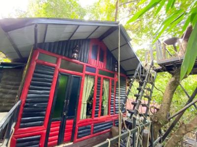 Khao sok tree house resort - 36