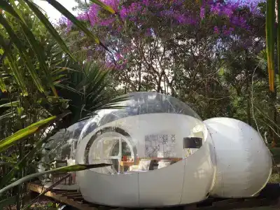 Bubble Bois Chéri - 15