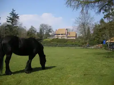 Fletcher Restaurant De Wipselberg-Veluwe - 22
