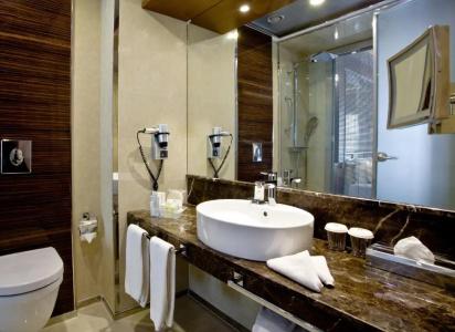 Holiday Inn Ankara-Kavaklidere, An Ihg - 55