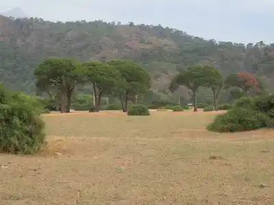 Anatolia Resort - 13