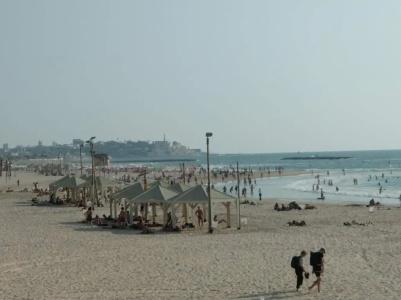 Reines5 Tlv - 12