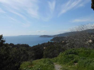 Sowells Saint Tropez - 10