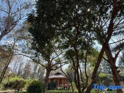 Baan Krating - Sha Plus - 35