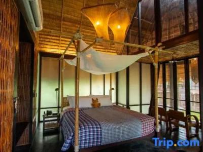 La a Natu Bed & Bakery - 167