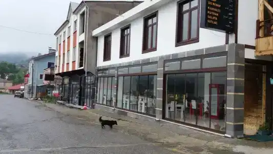 Hamsiköy Taş Otel - 21