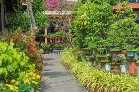 Betel Garden - 108