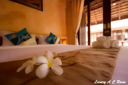 Wind Beach Resort - 110