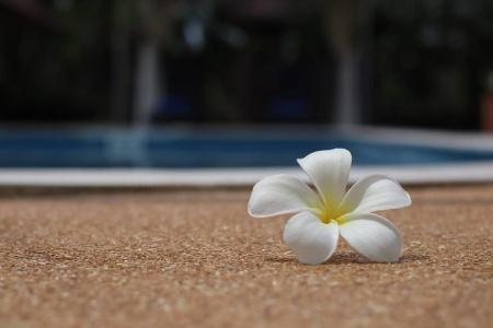 The Hillside Pranburi Resort - 34