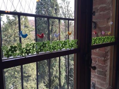 Antico Granaione - 18