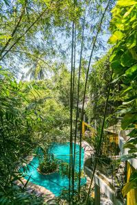 Thambapanni Retreat - 37