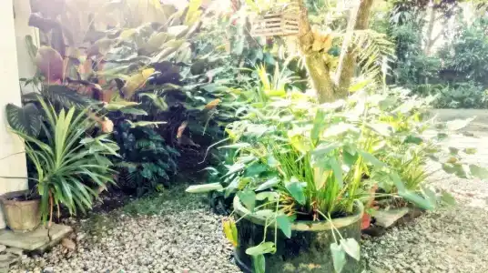 Baan Songjum - 33