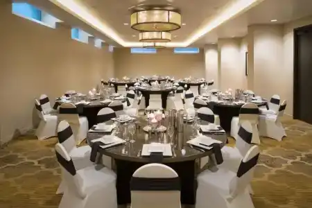 The Mark Spencer - 19