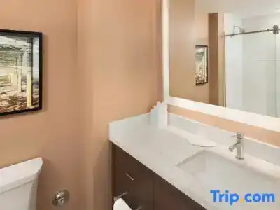TownePlace Suites by Marriott San Diego Downtown - 70