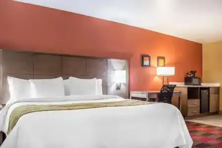 Comfort Inn Lucky Lane - 56
