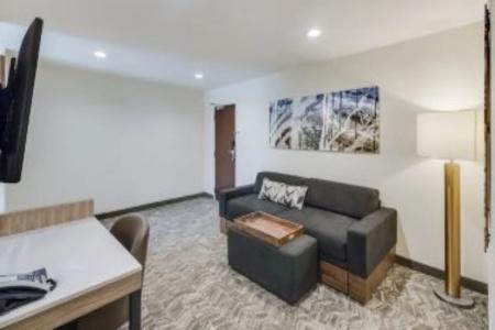SpringHill Suites by Marriott Dallas NW Highway at Stemmons / I-35East - 4