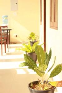 Pearl City - 13