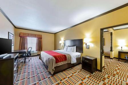 Quality Inn & Suites - 59