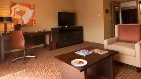 DoubleTree Suites by Hilton Tucson-Williams Center - 59