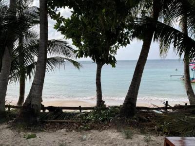Island Spa Resort - 45