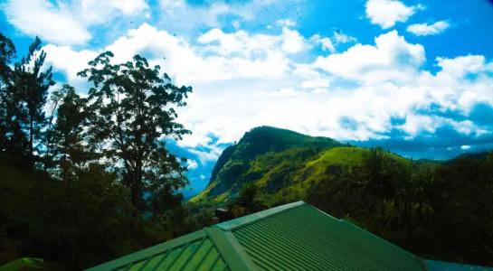 Madushanka - 36