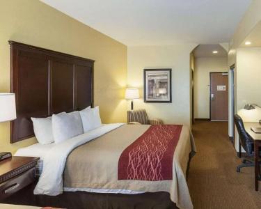 Comfort Inn Near Seaworld - Lackland Afb - 31