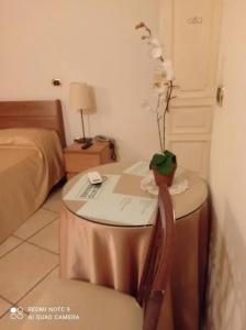Bovio Modern Suite - 19