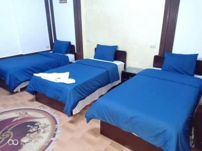 Cecilia Hostel - 16