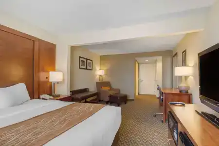 Comfort Inn & Suites SW Houston Sugarland - 5