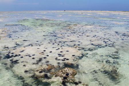 Ujamaa Beach - 15