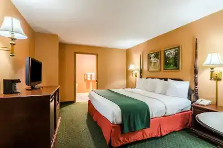 Quality Inn South - 54