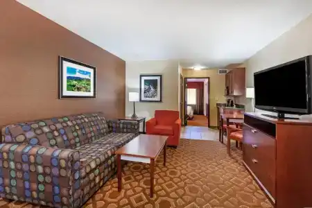 Holiday Inn & Suites Downtown, an IHG - 85