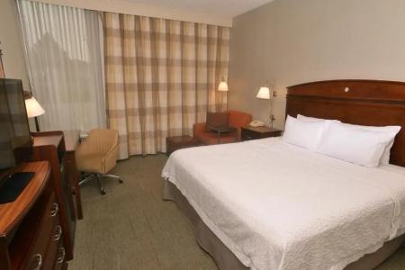 Hampton Inn-South - 35