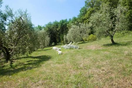 Il Vecchio Mulino Toscana - 155