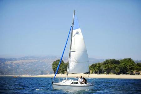 Paradise Point Resort & Spa - 29
