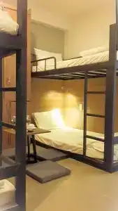 An Hoi Canary - 9