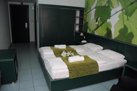 Green Budapest - 47