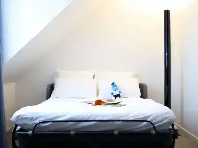 Novotel Lille Centre Grand Place - 54