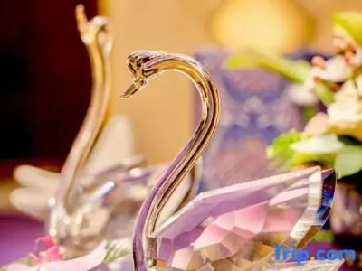 Xijiao State Guest - 102
