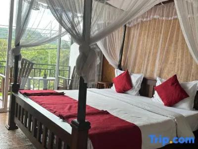 The Ella Nature Life Guest Inn - 38
