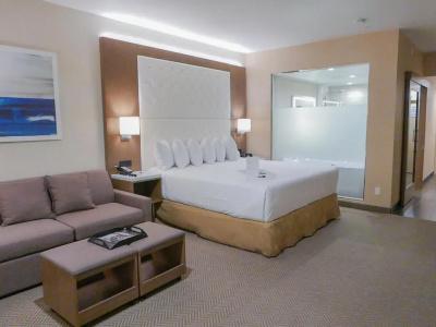 Wyndham Anaheim - 59