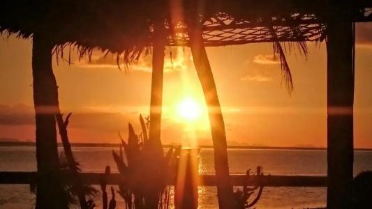 Papillon Bungalows - 33
