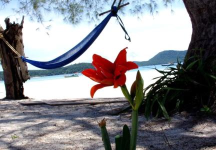 Secret Paradise Resort - 7