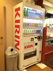 Daiya Ryokan - 10