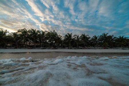 Selina Tulum - 21