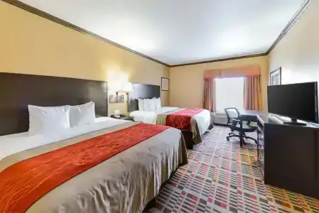 Quality Inn & Suites - 31