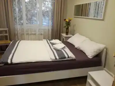 Центральный - 1