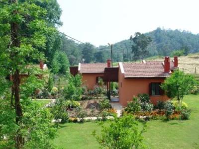 Dalya Life - 47